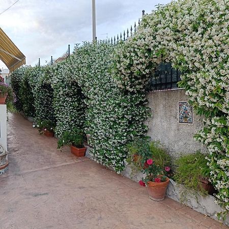 Bed And Breakfast Angolo Fiorito Civitavecchia Bagian luar foto