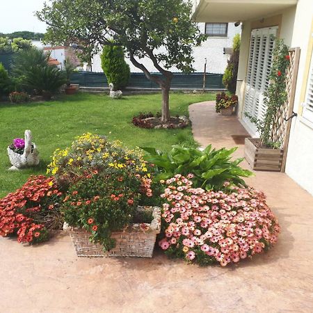 Bed And Breakfast Angolo Fiorito Civitavecchia Bagian luar foto