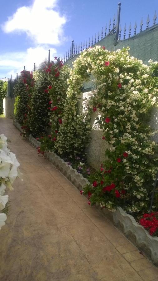Bed And Breakfast Angolo Fiorito Civitavecchia Bagian luar foto