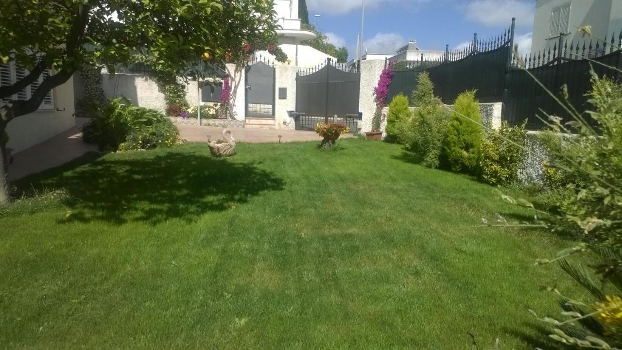 Bed And Breakfast Angolo Fiorito Civitavecchia Bagian luar foto
