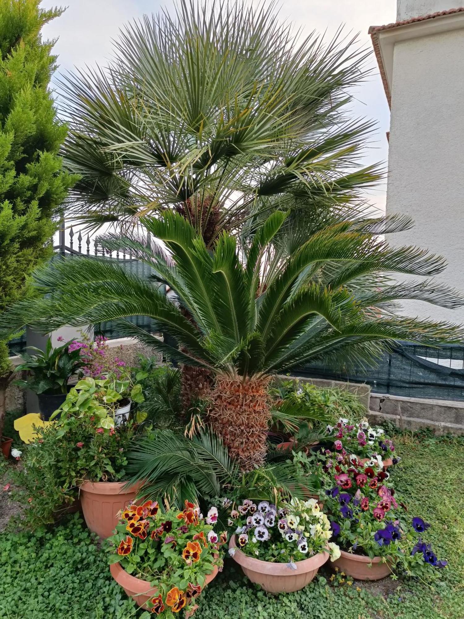 Bed And Breakfast Angolo Fiorito Civitavecchia Bagian luar foto