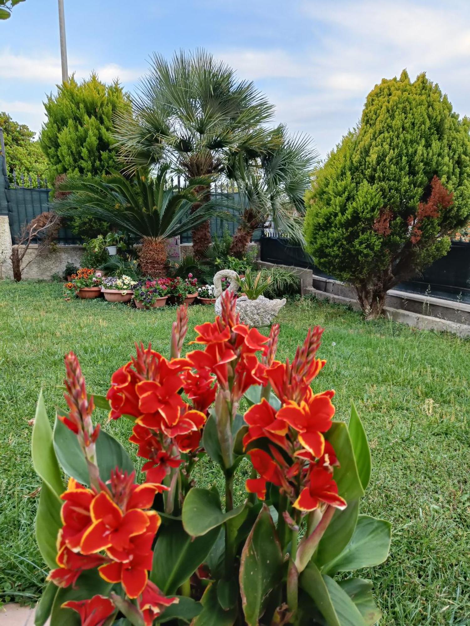 Bed And Breakfast Angolo Fiorito Civitavecchia Bagian luar foto