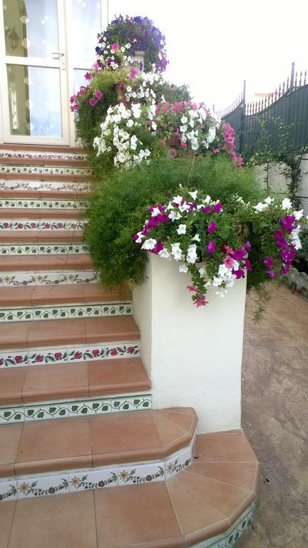 Bed And Breakfast Angolo Fiorito Civitavecchia Bagian luar foto
