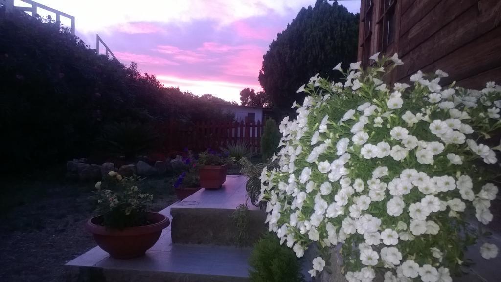 Bed And Breakfast Angolo Fiorito Civitavecchia Bagian luar foto