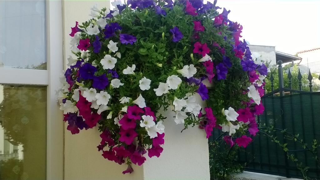 Bed And Breakfast Angolo Fiorito Civitavecchia Bagian luar foto