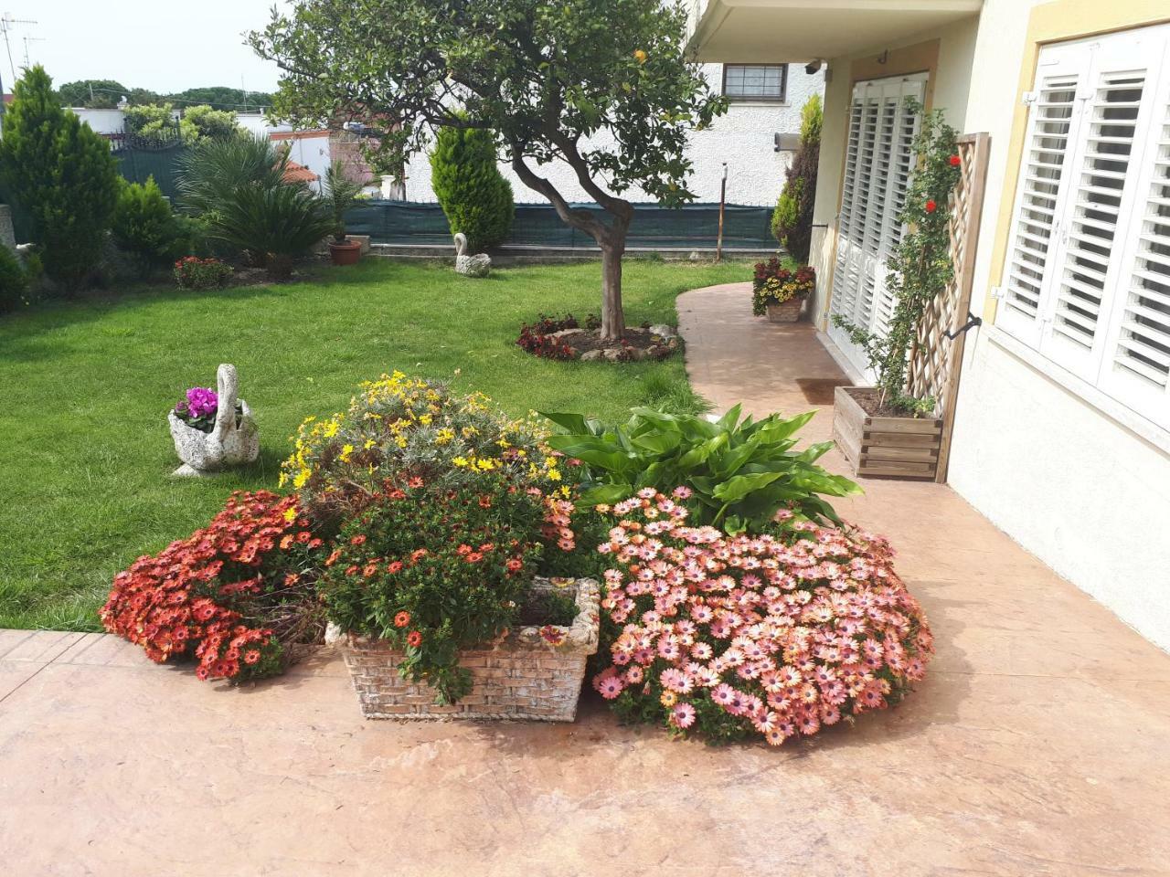 Bed And Breakfast Angolo Fiorito Civitavecchia Bagian luar foto