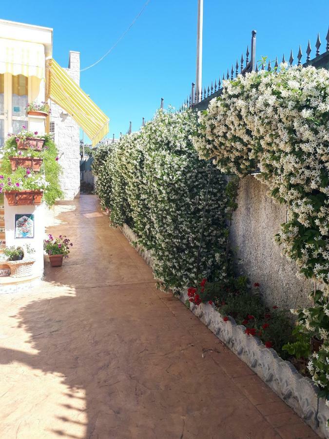 Bed And Breakfast Angolo Fiorito Civitavecchia Bagian luar foto