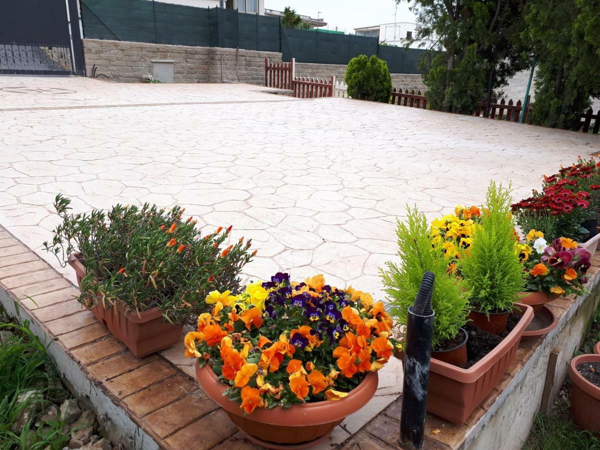 Bed And Breakfast Angolo Fiorito Civitavecchia Bagian luar foto